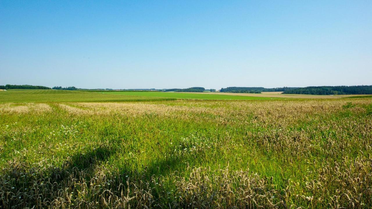Sepps In Lägenhet Billingsdorf Exteriör bild